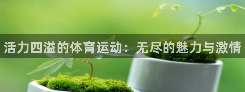 海南MK体育官网下载发展怎么样：活力四溢的体育运动：