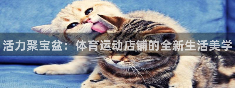 MK体育官网下载开户