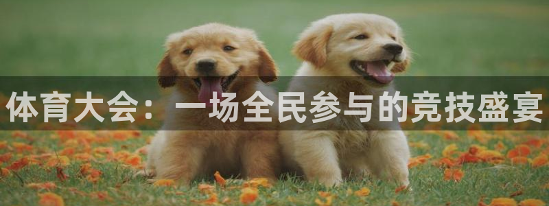 MK体育官网下载招商电话号码是多少啊：体育大会：一场