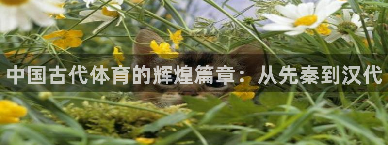 MK体育官方正版app集团官网首页网址