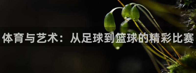 MK体育官方正版app集团简介：体育与艺术：从足球到