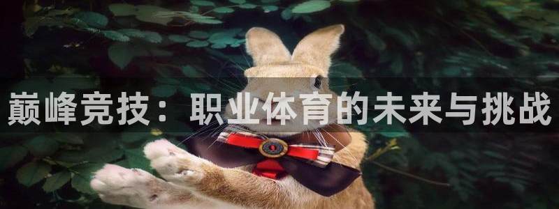 MK体育官网下载平台注册要钱吗安全吗：巅峰竞技：职业