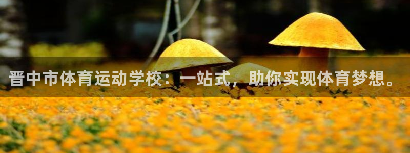MK体育官方正版app科技：晋中市体育运动学校：一站
