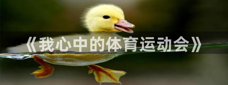MK体育官方正版app神州