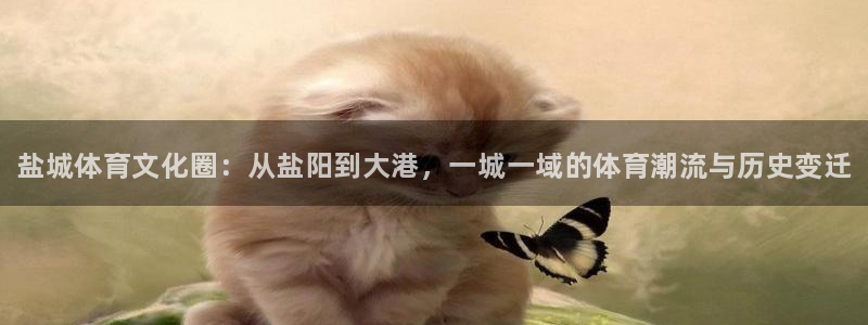 MK体育官方正版app科技：盐城体育文化圈：从盐阳到大港，一