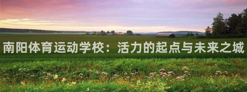 MK体育官网下载：南阳体育运动学校：活力的起点与未来之城