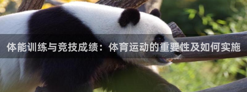 MK体育官方正版app集团logo