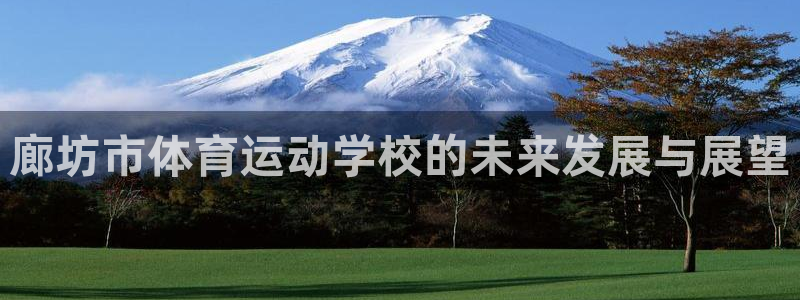 MK体育官方正版app集团E.ON：廊坊市体育运动学校的未来