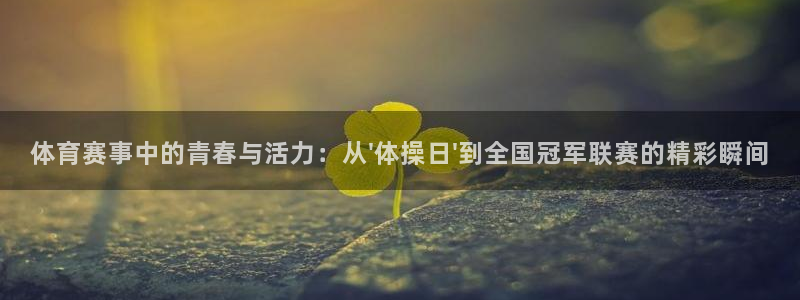 MK体育官网下载软件：体育赛事中的青春与活力：从\'体操日\