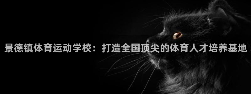 MK体育官网下载是干嘛的公司：景德镇体育运动学校：打造全国顶