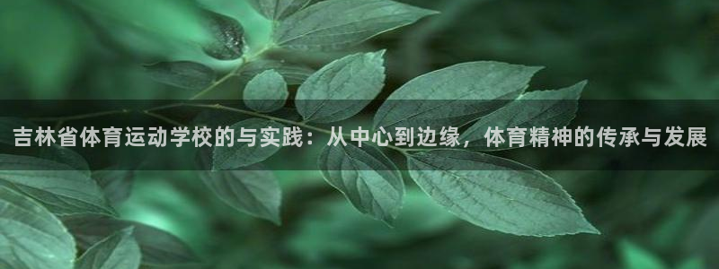 MK体育官网下载：吉林省体育运动学校的与实践：从中心到边缘，