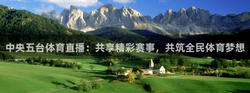 球神直播足球直播在线观看：中央五台体育直播：共享精彩赛事，共筑全民体育梦想