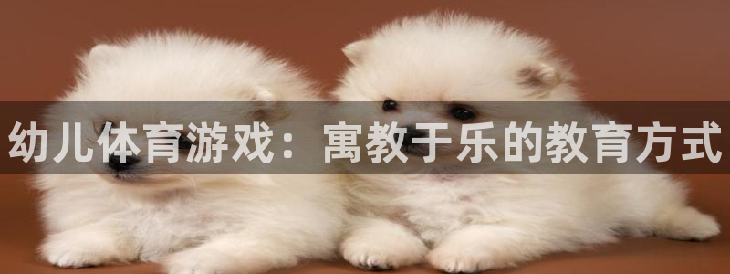 MK体育官方正版app集团：幼儿体育游戏：寓教于乐的