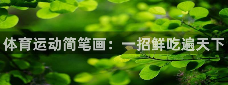 MK体育官方正版app新能源：体育运动简笔画：一招鲜