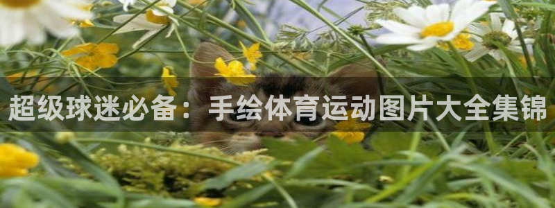 MK体育官网下载联系电话：超级球迷必备：手绘体育运动