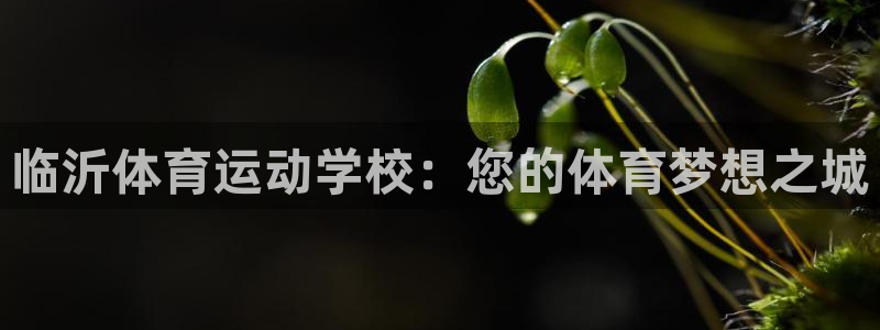 MK体育官网下载招商：临沂体育运动学校：您的体育梦想