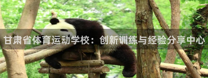 MK体育官网下载招商电话是多少号码：甘肃省体育运动学