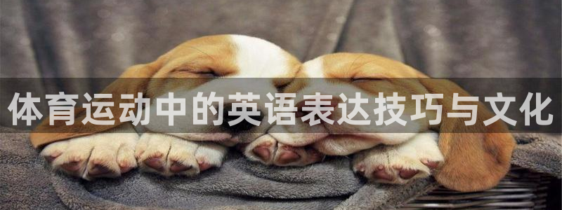 MK体育官网下载：体育运动中的英语表达技巧与文化