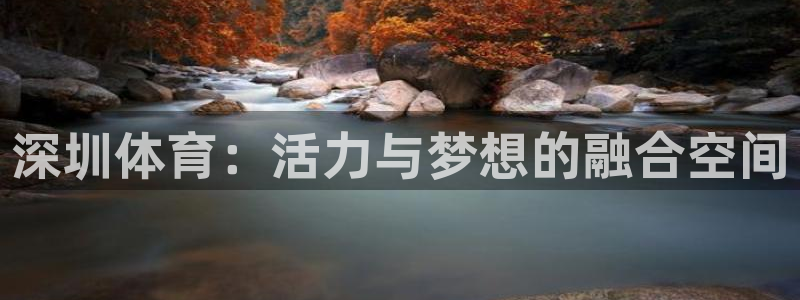 MK体育官网下载娱乐：深圳体育：活力与梦想的融合空间