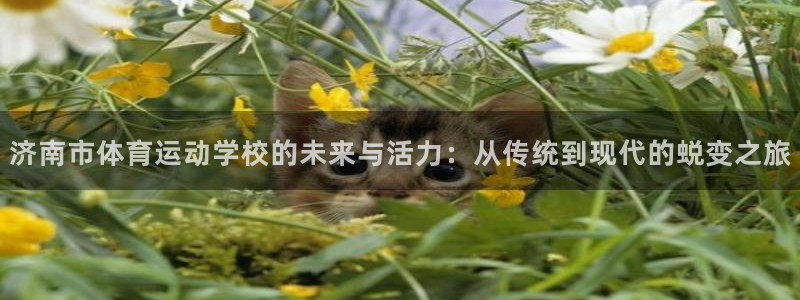 MK体育官方正版app娱乐代理怎么样：济南市体育运动学校的未