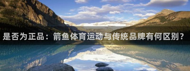 MK体育官方正版app集团