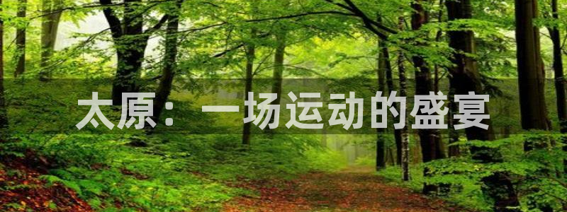 MK体育官网下载官方客服电话：太原：一场运动的盛宴