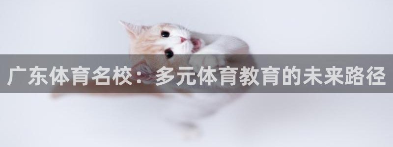 MK体育官方正版app集团：广东体育名校：多元体育教
