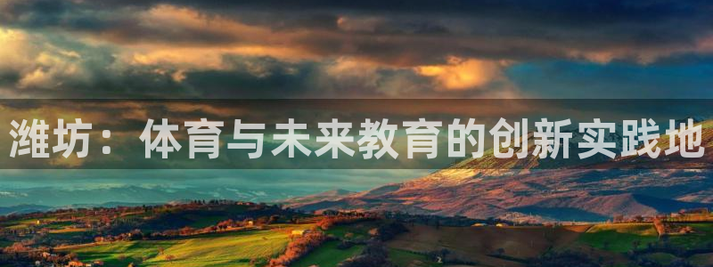 MK体育官方正版app代理:潍坊:体育与未来教育的创新实践地