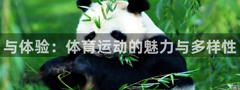 MK体育官方正版app开户:与体验:体育运动的魅力与多样性