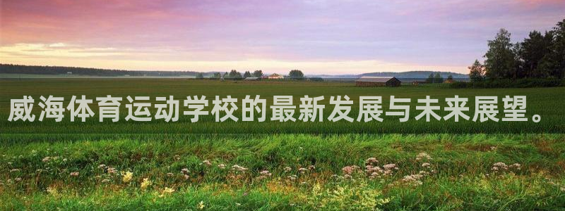 MK体育官方正版app新能源