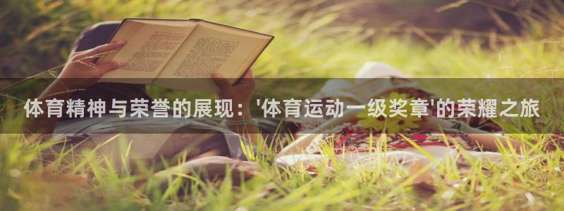 MK体育官网下载招商电话