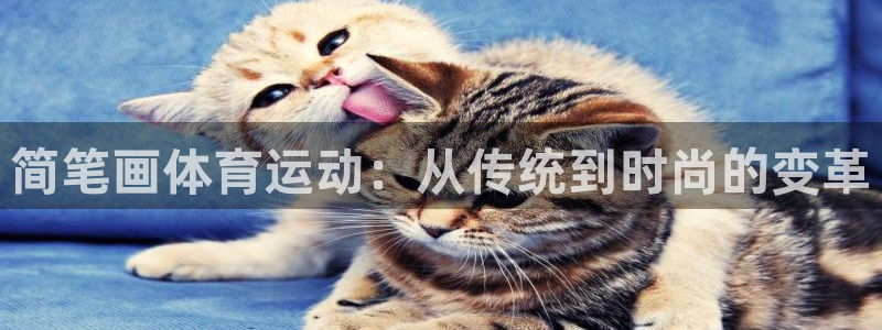 MK体育官网下载招商电话号码是多少啊：简笔画体育运动：从传统