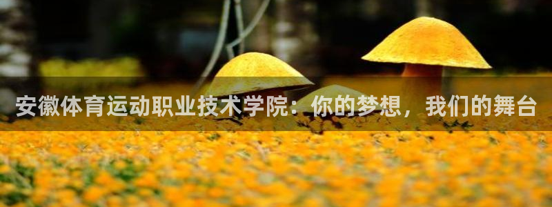 MK体育官网下载平台注册