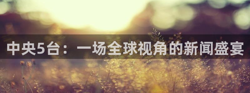 球神直播间：中央5台：一场全球视角的新闻盛宴