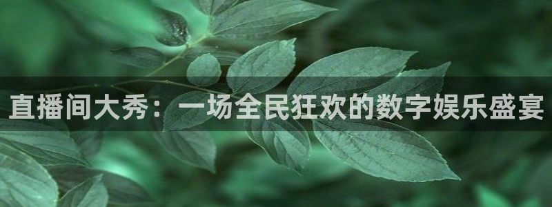 球神看球直播：直播间大秀：一场全民狂欢的数字娱乐盛宴