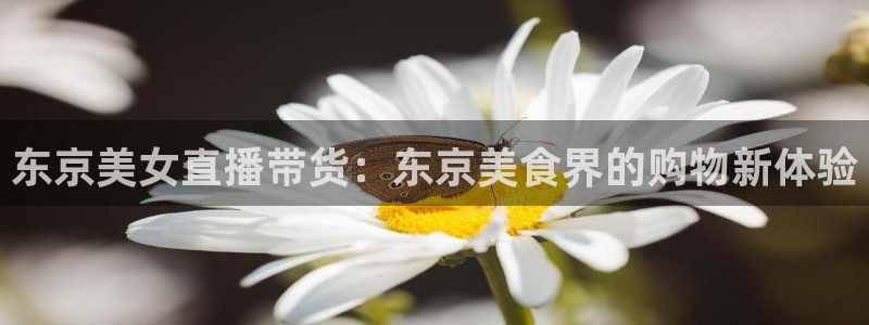 nba球神直播：东京美女直播带货：东京美食界的购物新体验