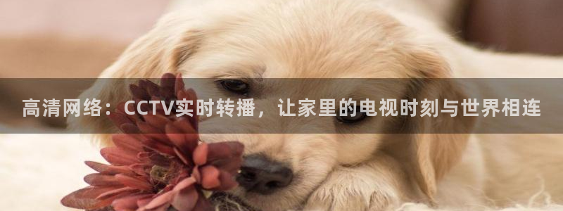 球神体育直播在线