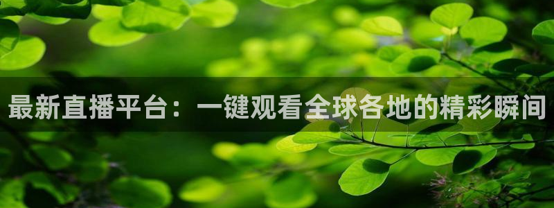 球神直播网
