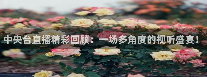 球神直播体育在线观看足球