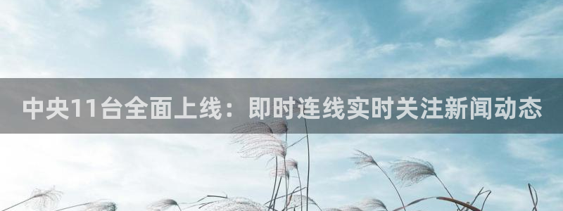 球神直播免费足球直播：中央11台全面上线：即时连线实时关注新闻动态