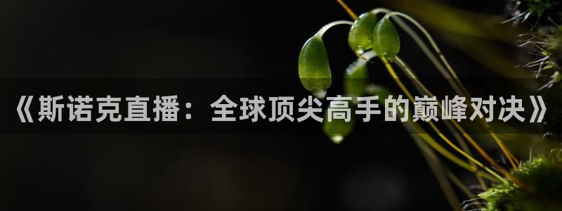 球神直播体育在线观看足球：《斯诺克直播：全球顶尖高手的巅峰对决》
