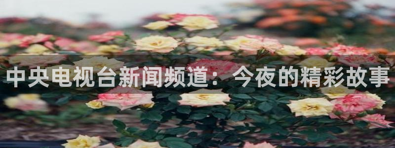 球神直播nba：中央电视台新闻频道：今夜的精彩故事